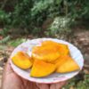 Fresh Mangoes - 2.5 Kg Pack (Direct from Artisans) - Image 2