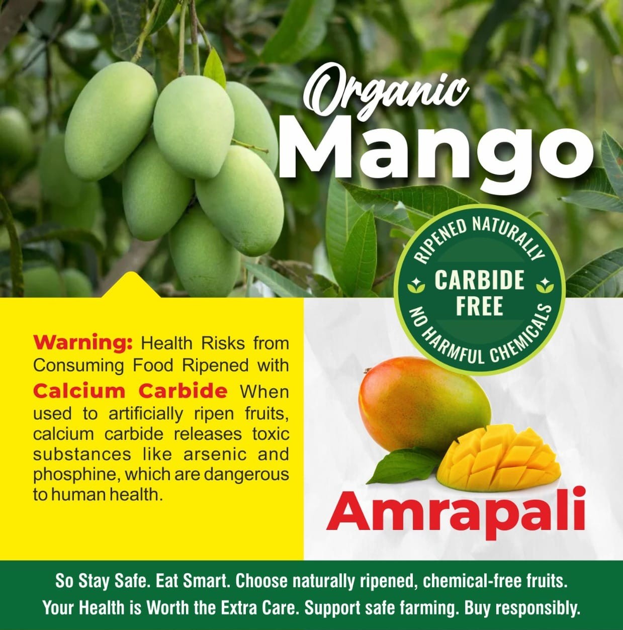 Fresh Mangoes (Amrapali) – 2 Kg Pack (Direct from Artisans) - Image 2